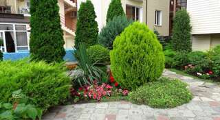 Гостиница Zolotoe Runo Guest House Анапа Номер "Стандарт"-15